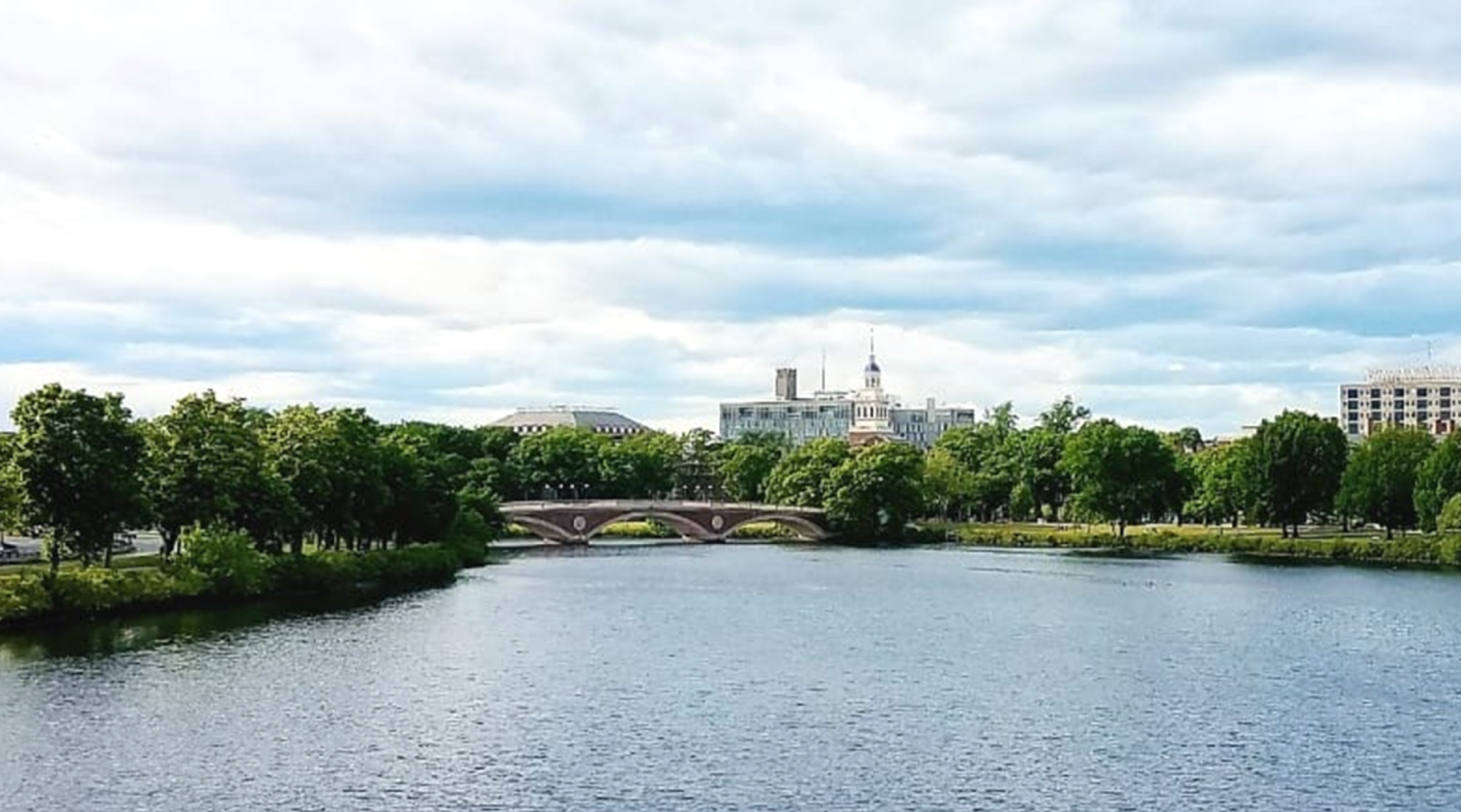 코치미 서비스 이미지